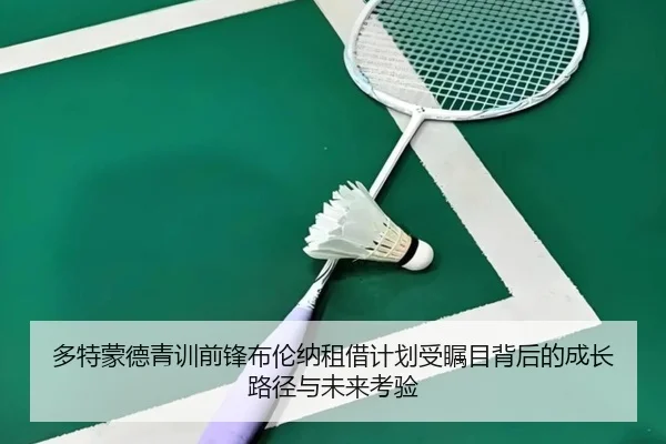 多特蒙德青训前锋布伦纳租借计划受瞩目背后的成长路径与未来考验